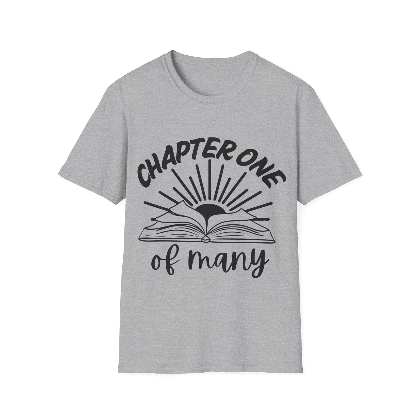Sport Grey / S Chapter one t-shirt